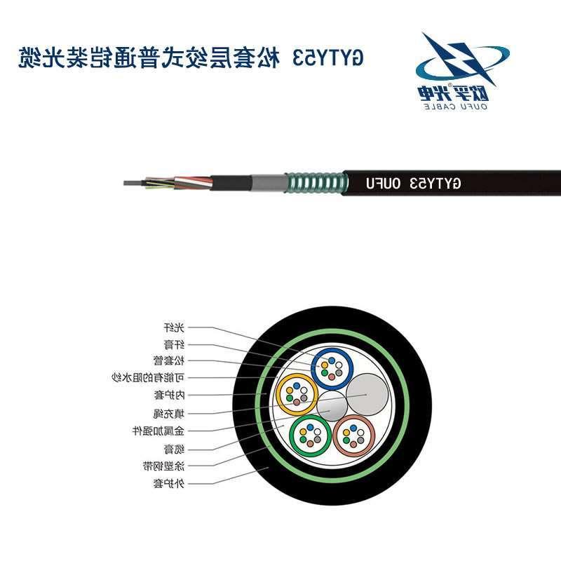 阿勒泰地区GYTY53光缆