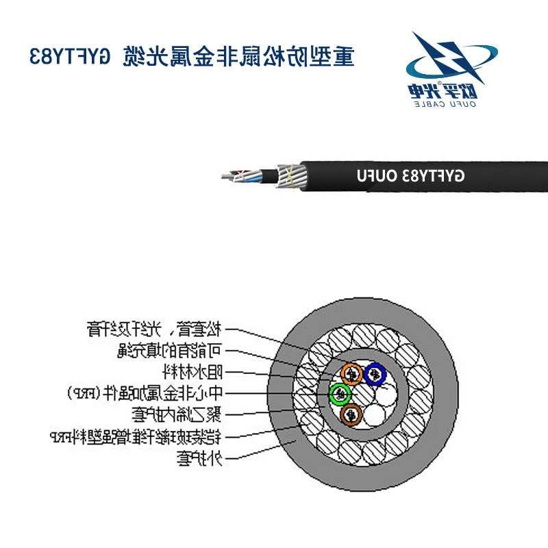 阜阳市GYFTY83 防鼠咬光缆