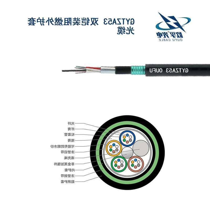 阿勒泰地区GYTZA53光缆